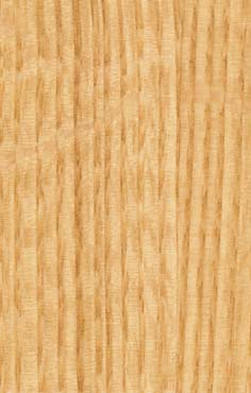 American white oak